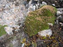 Min_Pierre-Menta-015.jpg