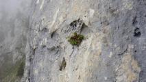 Min_Pilier-Outheran-002.jpg