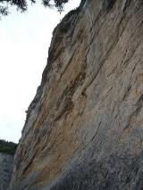 Min_Pipeline-033.jpg