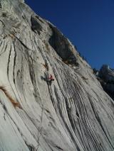 Min_Pissenlit-006.jpg