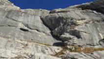 Min_Pissenlit-008.jpg