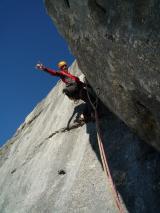 Min_Pissenlit-009.jpg