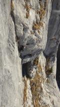 Min_Pissenlit-010.jpg