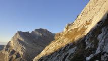Min_Pissenlit-013.jpg