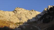 Min_Pissenlit-014.jpg