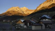 Min_Pissenlit-015.jpg