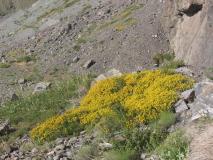 Min_Placa-Verde-003.jpg