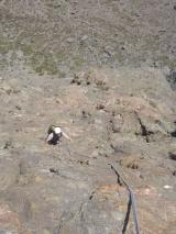 Min_Placa-Verde-035.jpg