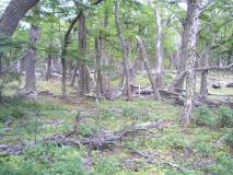 Min_Poincenot-004.jpg