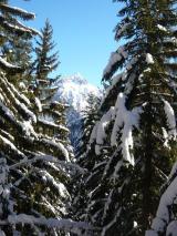 Min_Pointe-Sciallet-002.jpg