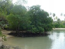 Min_Railey-East-024.jpg