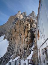 Min_Reine-De-La-Nuit-013.jpg