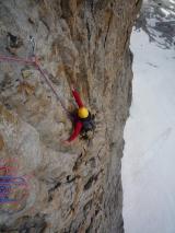 Min_Reine-De-La-Nuit-025.jpg