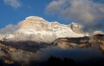 Min_Reve-Abricot-001.jpg