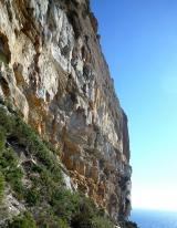 Min_Reve-Abricot-004.jpg