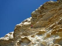 Min_Reve-Abricot-007.jpg