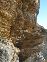 Min_Reve-Abricot-008.jpg