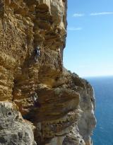 Min_Reve-Abricot-009.jpg