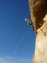 Min_Reve-Abricot-015.jpg