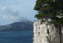 Min_Reve-Abricot-024.jpg