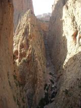 Min_Reve-Aicha-001.jpg