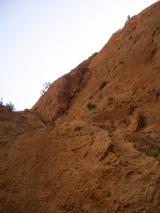 Min_Reve-Aicha-003.jpg