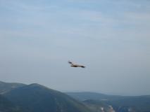 Min_Riviere-Argent-015.jpg