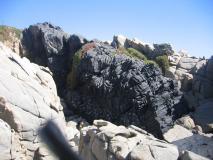 Min_Roca-Oceanica-016.jpg