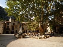 Min_Saint-Guilhem-Carmina-Burana-019.jpg