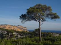 Min_Sanababich-024.jpg