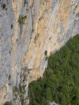 Min_Singes-Hiver-013.jpg