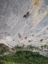 Min_Singes-Hiver-015.jpg