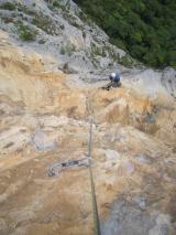 Min_Singes-Hiver-028.jpg