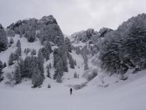 Min_Sorbier-Eulier-001.jpg