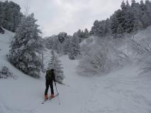 Min_Sorbier-Eulier-003.jpg