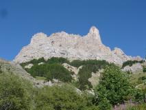 Min_Spit-Mugissant-012.jpg