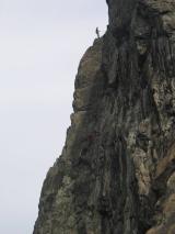 Min_Starting-Roc-011.jpg