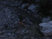 Min_TMB-089.jpg
