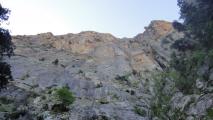 Min_Tangue-But-003.jpg