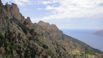 Min_Tangue-But-009.jpg