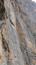 Min_Tangue-But-010.jpg