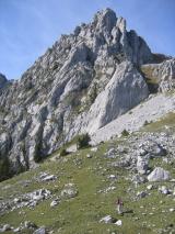 Min_Toto-Hero-005.jpg