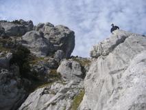 Min_Toto-Hero-012.jpg