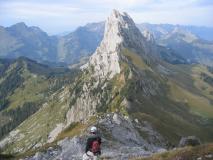 Min_Toto-Hero-020.jpg