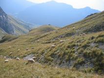 Min_Tournette-020.jpg