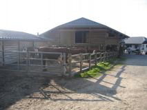 Min_Tournette-023.jpg