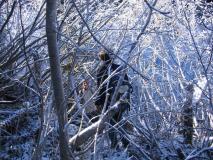 Min_Traversee-Bauges-015.jpg