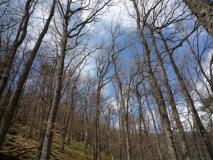 Min_Trois-Chateaux-001.jpg