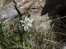 Min_Vanessa-Reequipement-014.jpg