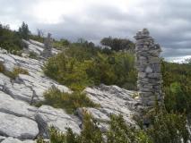 Min_Verdon-J1-003.jpg